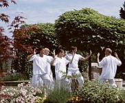 Heviz Hotel NaturMed Carbona - Thai Chi - Wellness-Dienstleistungen