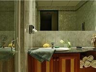 Appartementhotel Palace Heviz,  Badezimmer